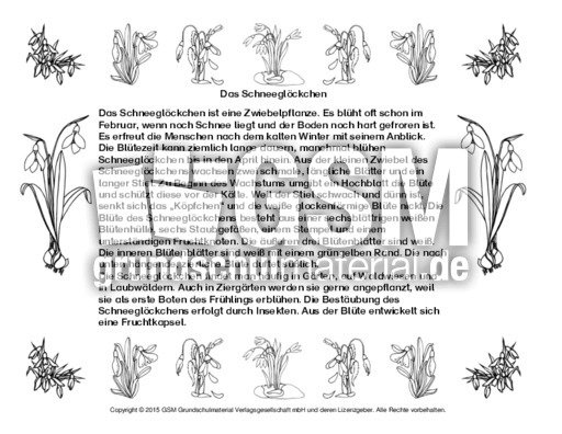 Abschreibtext-Schneeglöckchen-SW.pdf